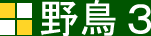 野鳥3