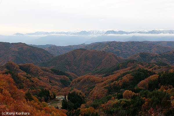 番外編へ
