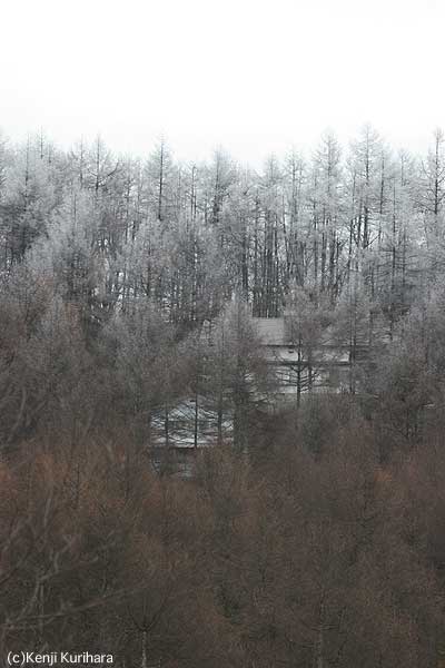 霧氷へ