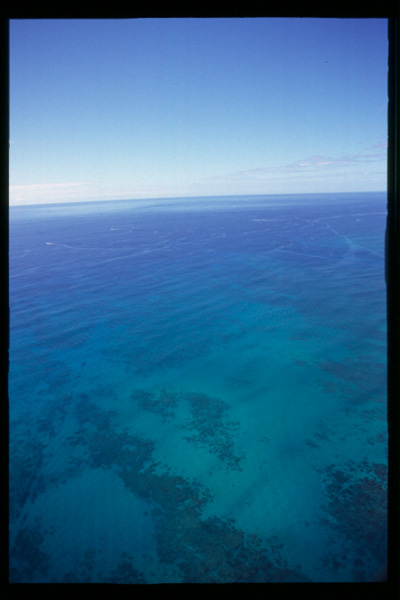 海