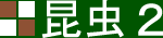 昆虫2