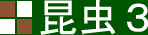 昆虫3