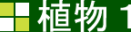植物1