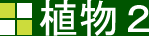 植物2