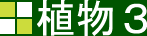 植物3