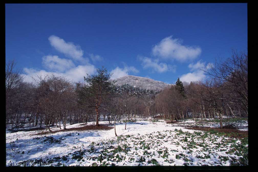 風景2へ