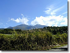 山