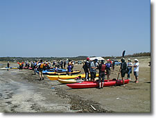千里浜海岸のイベント会場