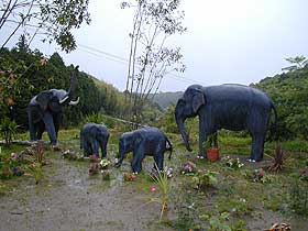勝浦ぞうの楽園・ぞうの像