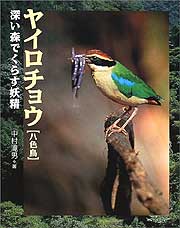 ヤイロチョウ～深い森でくらす妖精