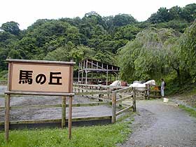 東京ムツゴロウ動物王国・馬の丘