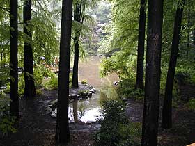 林試の森公園