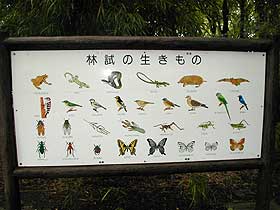 園内の案内板