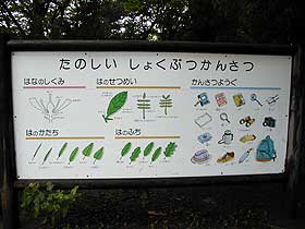 園内の案内板