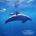 『VOICE OF THE EARTH ISLANDS～海洋の島、小笠原～』