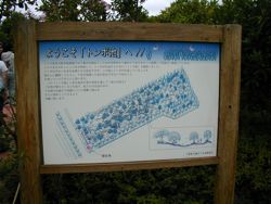 取材の模様