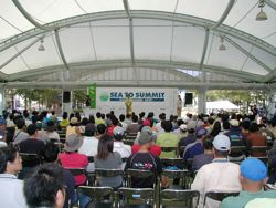 SEA TO SUMMITの模様