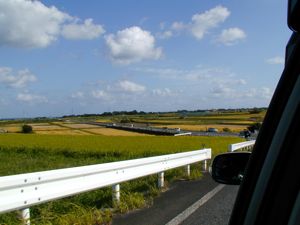 SEA TO SUMMITの模様