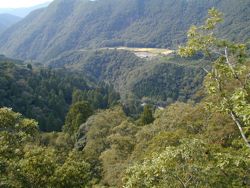 SEA TO SUMMITの模様