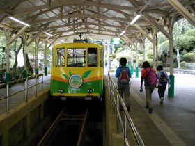 西野淑子さん