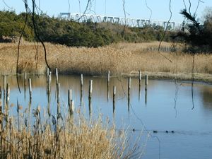 葛西臨海公園