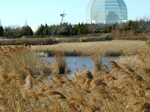葛西臨海公園