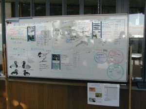 鳥類園のスタッフがその日、どんな野鳥が見られるか、ボードに書いてある。これはうれしい! 鳥類園のスタッフがその日、どんな野鳥が見られるか、ボードに書いてある。これはうれしい!