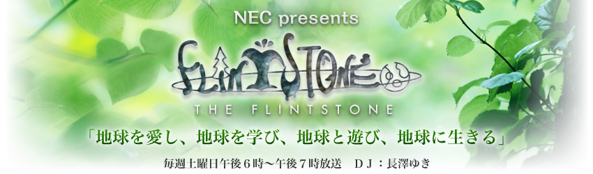 THE FLINTSTONE�@���T�y�j���ߌ�U���`�ߌ�V�������@�c�i�F���V�䂫�u�n���������A�n�����w�сA�n���ƗV�сA�n���ɐ�����v